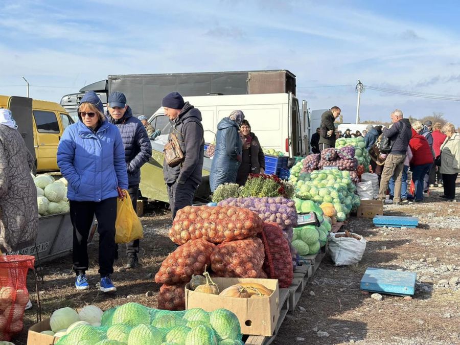 На Вінничині тривають осінні ярмарки «Овочевий ринок»