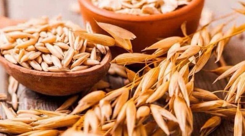 Овес для підшлункової залози!