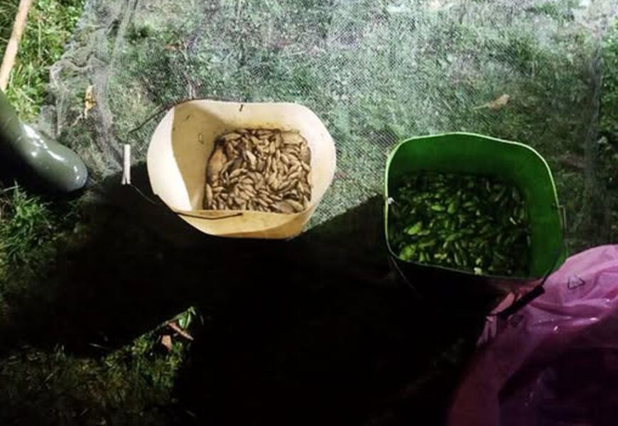 Браньер на Вінниччині цинічно знищував біоресурси