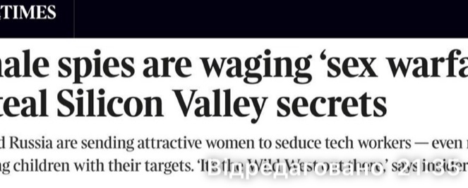 Дівчата – агентки спокушають айтішників