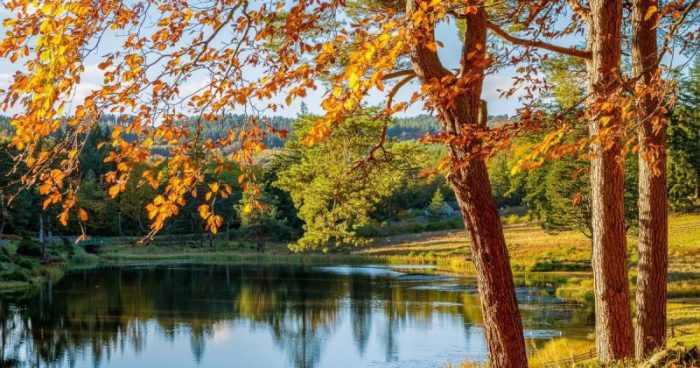 Синоптики прогнозують “друге бабине літо”
