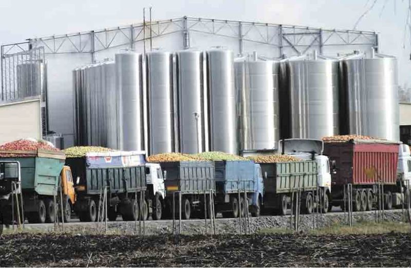 Виробника соків у Липовці оштрафували більше як на 39 мільйонів