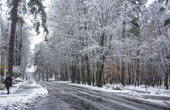 У Вінниці та області 22 листопада протягом дня небо буде хмарним, очікується невеликий дощ.