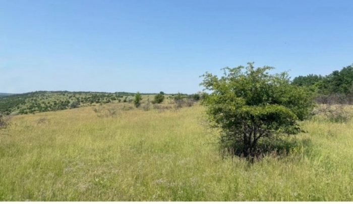 «Гора Лисківка»остаточно стала заказником