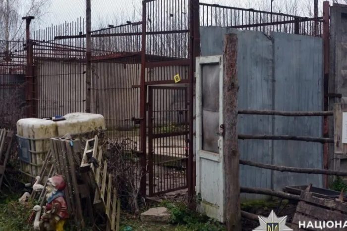 Керівник зоокутка, звідки втекли левиці, під цілодобовим домашнім арештом