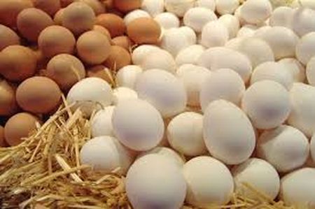 У двох українських експортерів яєць виявили антибіотики в продукції