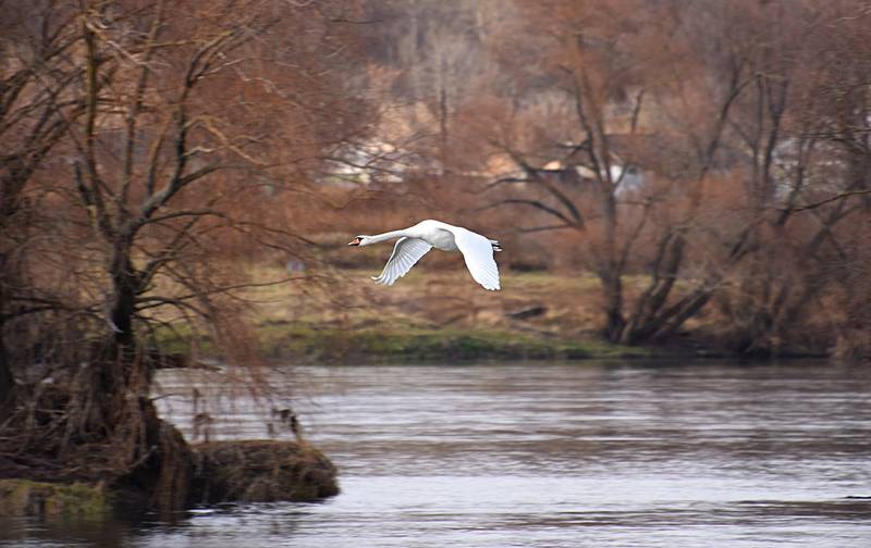 Фотогалерея «33-го каналу» «Світ навколо нас»