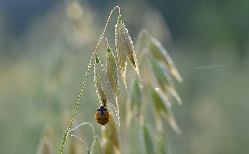 Фотогалерея «33-го каналу» «Світ навколо нас»