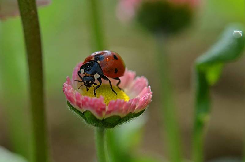 Фотогалерея «33-го каналу» «Світ навколо нас»