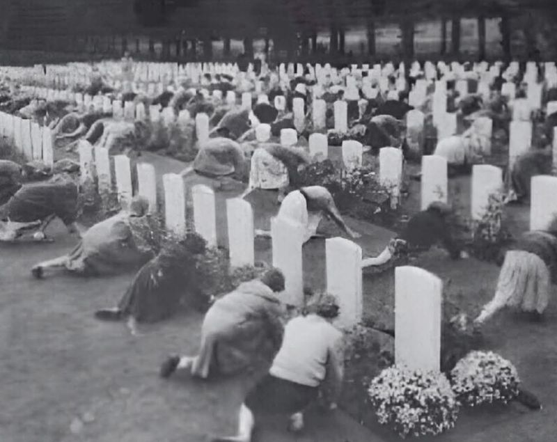 Всиновлені могили