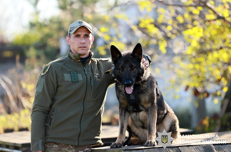 Поліцейський собака Арчі з Хмельницького отримав премію «Чотирилапі захисники»