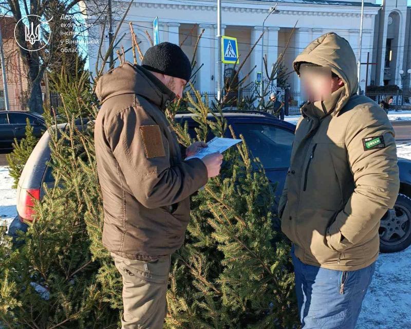 Незаконний продаж новорічних ялинок викрили на Вінниччині