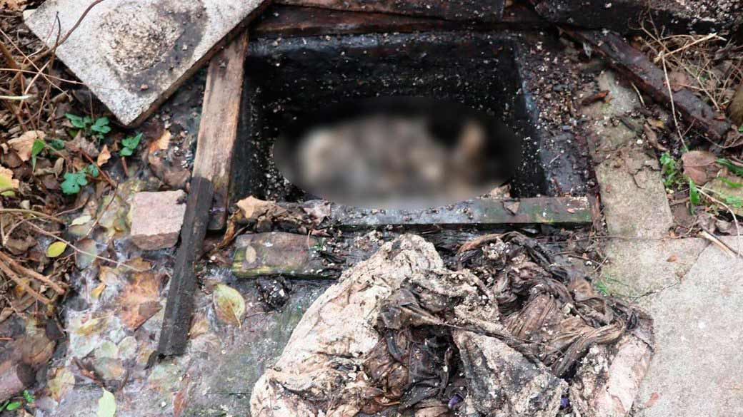 Брата вбив молодший брат, студент педуніверситету