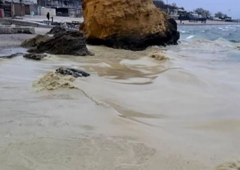 Акваторію найбільшого українського порту перекрили через витік олії