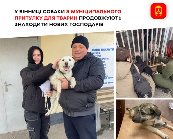 У Вінниці собаки з муніципального притулку для тварин продовжують знаходити нових господарів