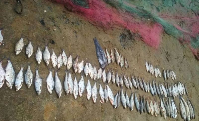 Браконьєр на Вінниччині наловив риби на 36000 грн