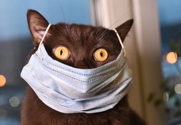 За тиждень на грип та ГРВІ захворіли понад 5 тисяч вінничан