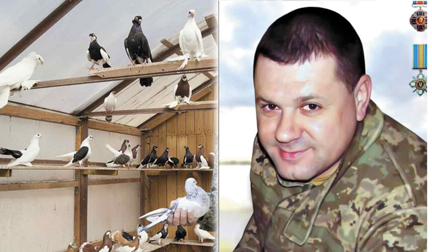 «Прошу підгодовувати голубів загиблого Героя»