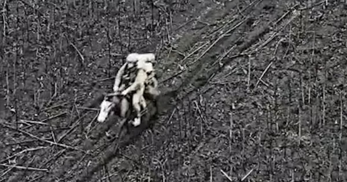 Вони знову сіли на коней, – так 92-а ОШБР говорить про кавалеристів противника в районі Вербового на Дніпропетровщині.