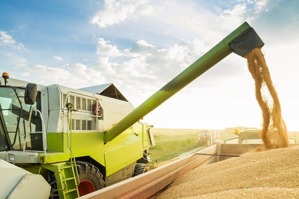 Україна може стати провідним виробником продовольства в світі