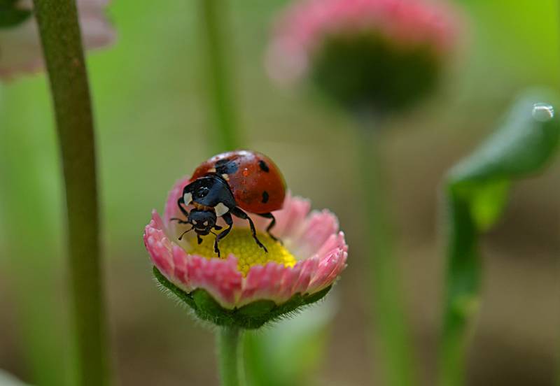 Фотогалерея «33-го каналу» «Світ навколо нас»