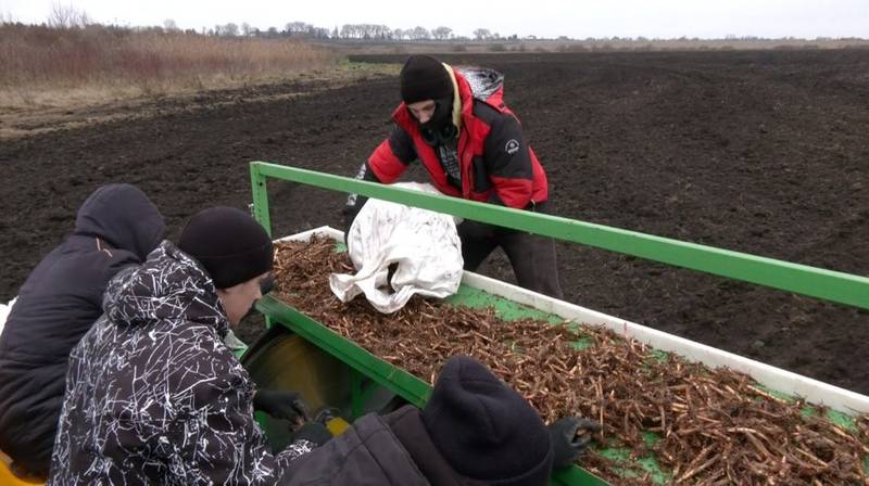 Очищує ґрунти й замінює дрова