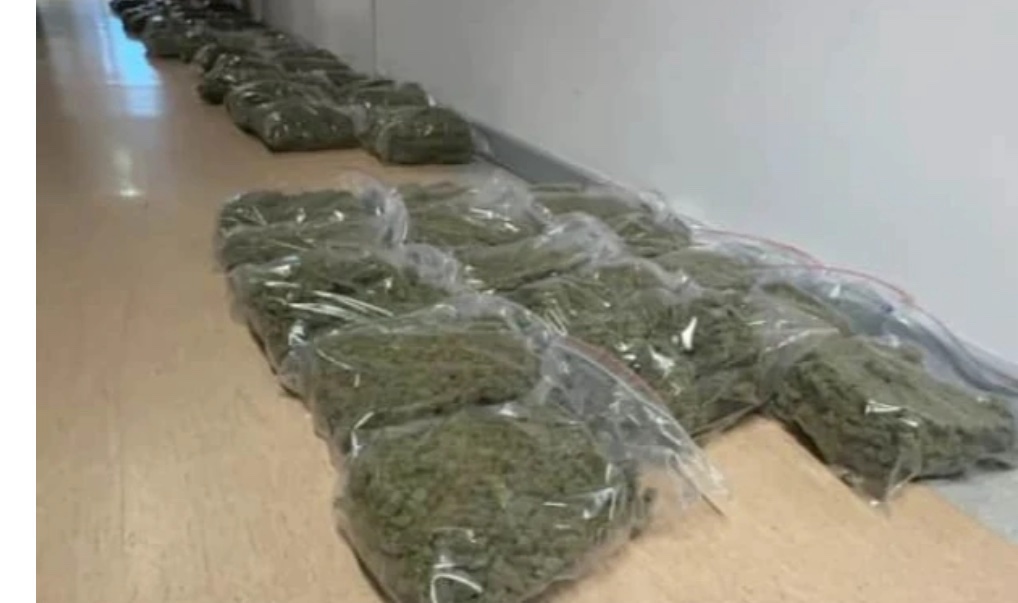 У Варшаві поліція затримала українця з понад 70 кг наркотиків і фальшивими документами