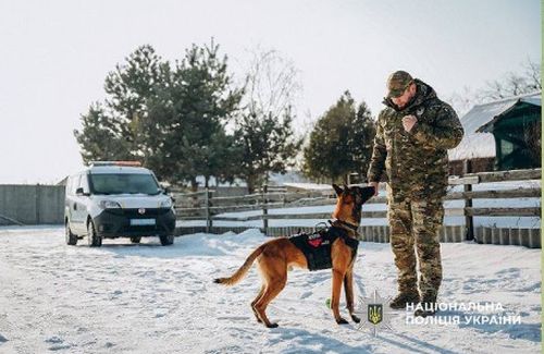 Як допомогти собаці під час обстрілів: поради поліцейського – кінолога