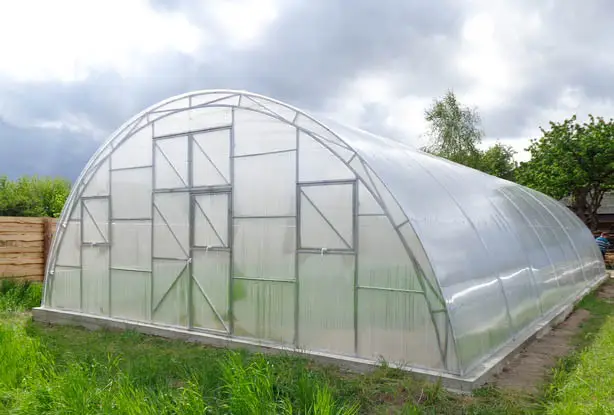 За державні гранти фермери на Вінниччині збудували понад 13 га теплиць