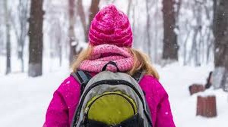 Усі заклади освіти України можуть запровадити або продовжити зимові канікули до 1 лютого: у Києві/області це — обовʼязково