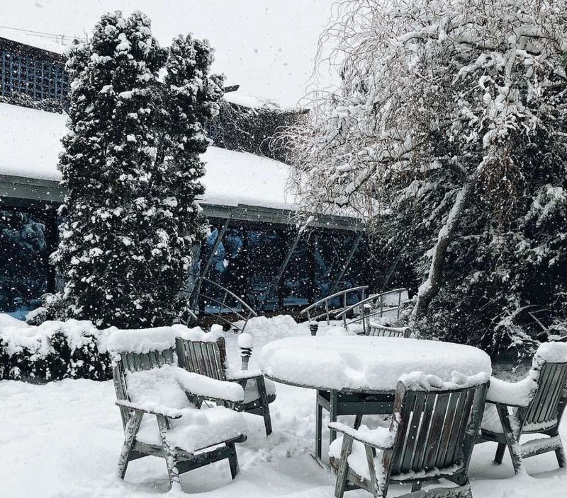 Вінниччину накриє зимовий циклон: снігова буря та арктичні морози з 8 січня