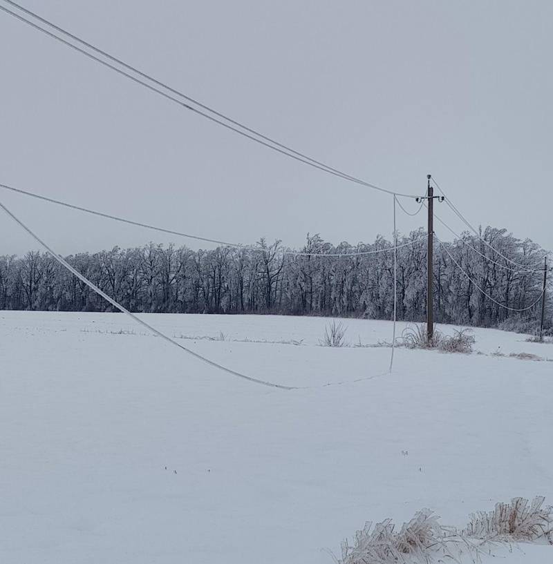 Через 25 років ожеледь знову накрила Вінниччину