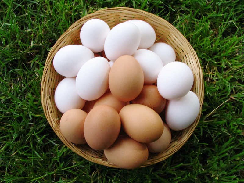 Україна експортувала понад два мільярди яєць