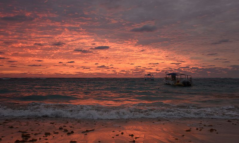 Фотогалерея «33-го каналу» «Світ навколо нас»