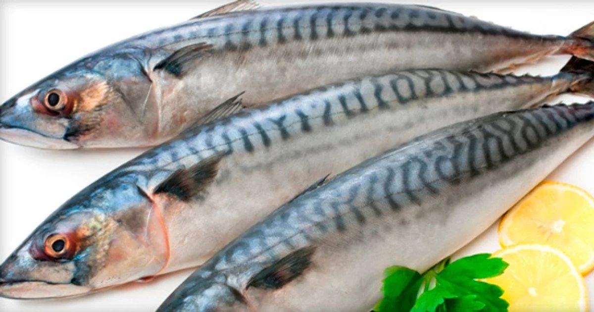Маринуємо скумбрію: найсмачніший рецепт елітного делікатесу