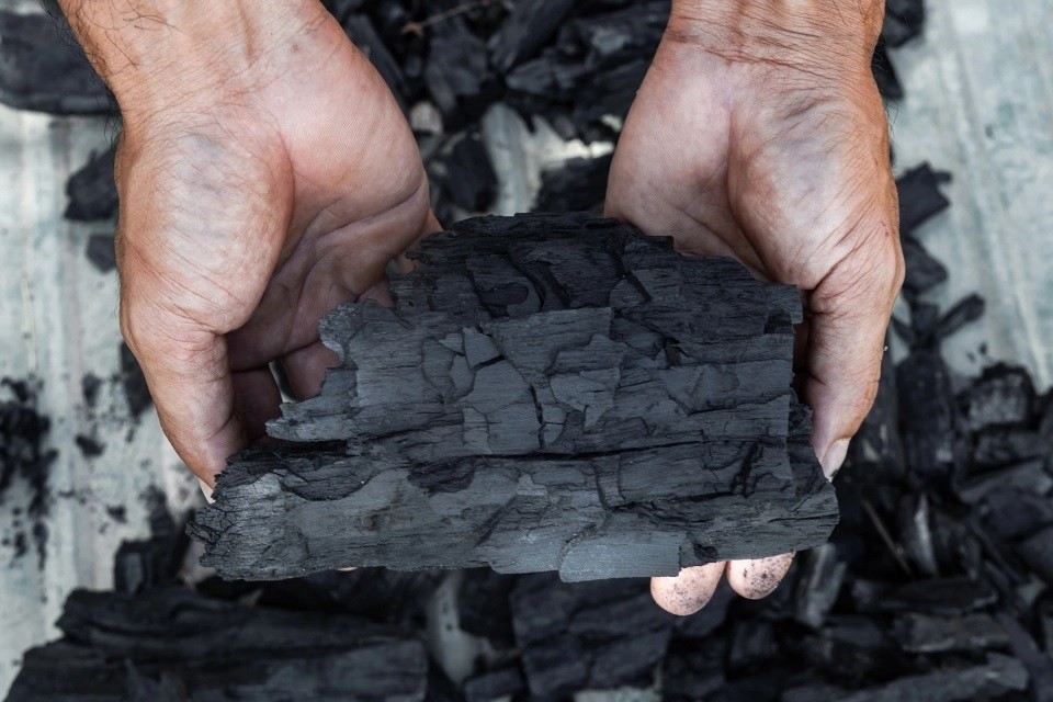 Родовище у Шепетівському районі на Хмельниччині має понад 113 мільйонів тонн графітових руд.