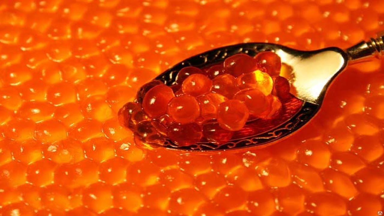 Якою ікрою “нереститься” інтернет