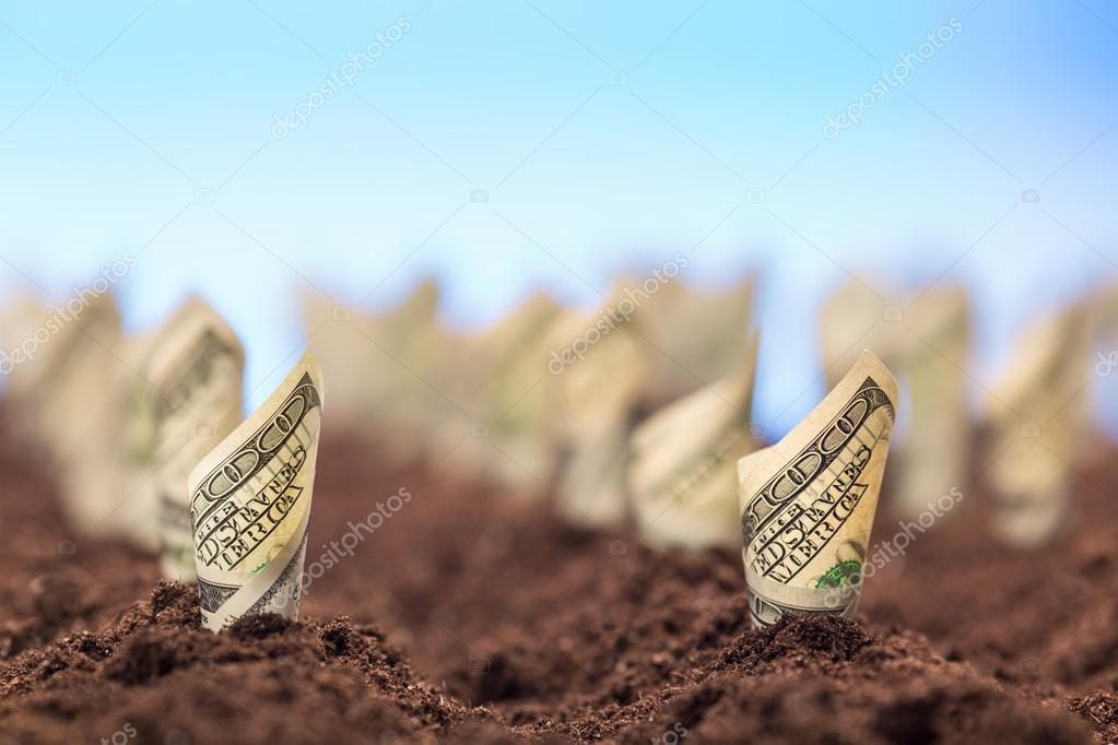 Держпідтримку аграріїв в Україні отримали великі корпорації