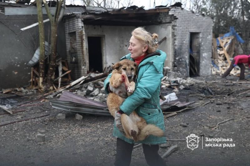 Рашисти продовжують воювати із тваринами