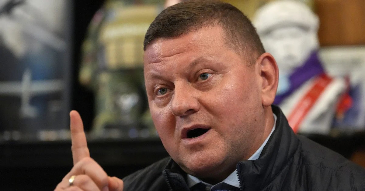 Мобілізація в такому вигляді себе вичерпала. Залужний назвав альтернативу