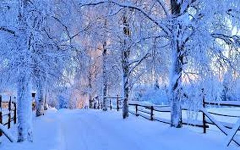 Після потепління мороз ще повернеться в Україну