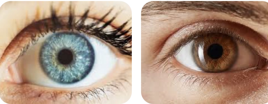 Із яким кольором очей людям довіряють найменше?