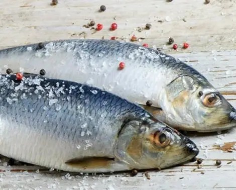 Україна ризикує «пролетіти» з дунайським оселедцем