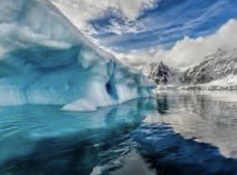 В Антарктиді виявили гігантське яйце невідомої істоти