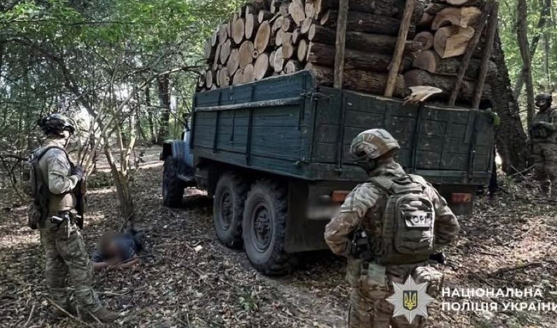 Слідчі поліції Вінниччини завершили розслідування справи щодо незаконної порубки лісу на території національного природного парку на майже 6,5 мільйона гривень