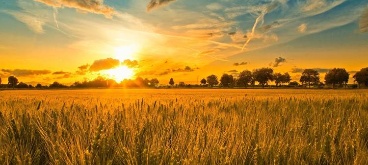 Брехливий Світ Тебе на п’єдестал (вірш)