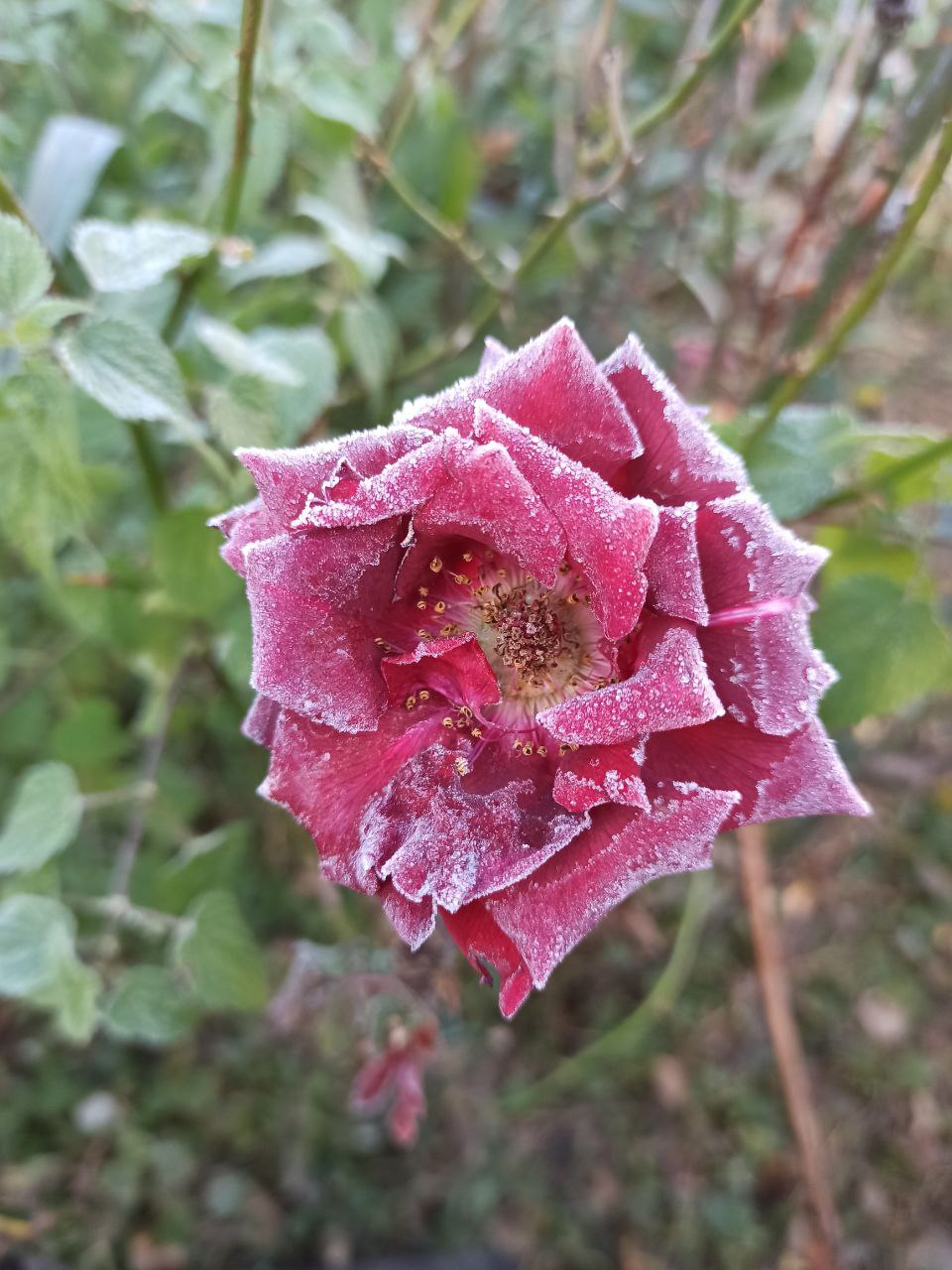 Фотогалерея «33-го каналу» «Світ навколо нас»