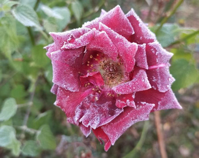 Фотогалерея «33-го каналу» «Світ навколо нас»