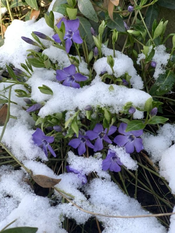 Фотогалерея «33-го каналу» «Світ навколо нас»