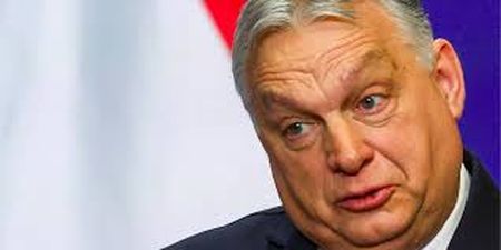 Угорці, які приїжджали вивчати “Дружбу”, повертаються додому “з результатами”